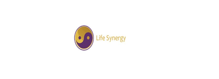 Life Synergy Retreat Cover Image