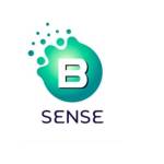 bsensegroup Profile Picture