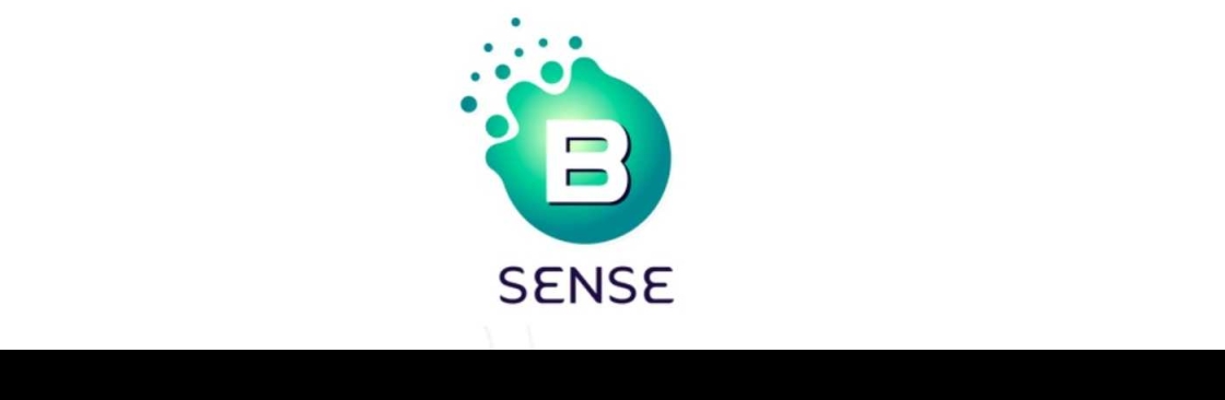 bsensegroup Cover Image