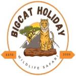 Big Cat Holiday Profile Picture
